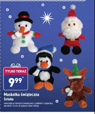 Maskotka świąteczna pingwin promocja