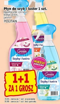 Płyn do szyb i luster Politan Gosia różne rodzaje promocja w Prim Market