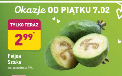 Feijoa promocja