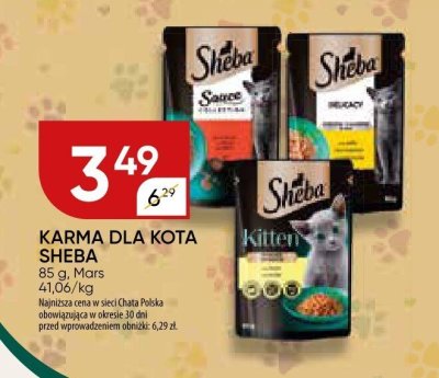 Karma dla kota Sheba promocja w Chata Polska