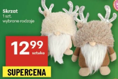 Skrzat dekoracyjny wybrane rodzaje promocja w Delikatesy Centrum