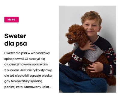 Sweter dla psa szary warkoczowy promocja w Pepco