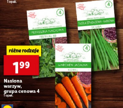 Marchew jadalna nasiona promocja
