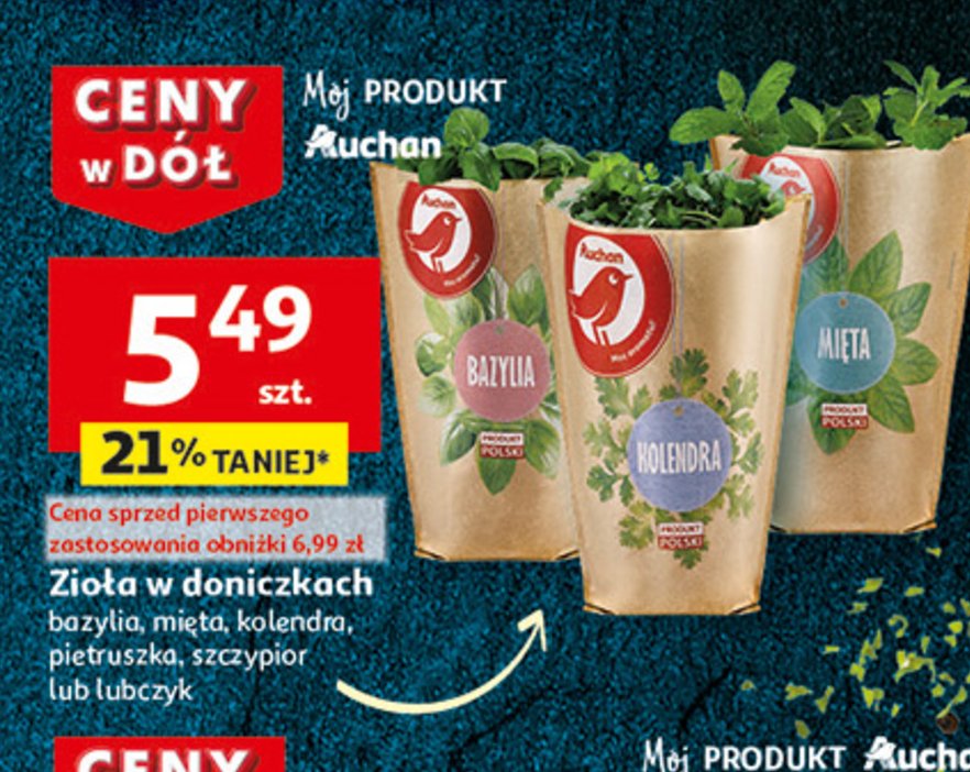 Kolendra Auchan różnorodne (logo czerwone) promocja w Auchan