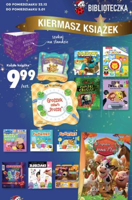 Książka - Duże rózżko dla małego misia promocja w Biedronka