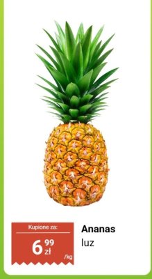 Ananas luz promocja w Dino