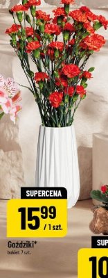 Goździki promocja w POLOmarket