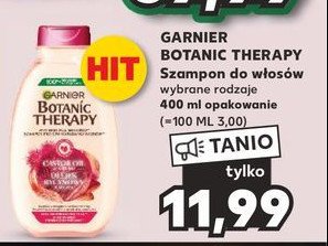 Szampon olejek rycynowy i migda艂 Garnier botanic therapy promocja