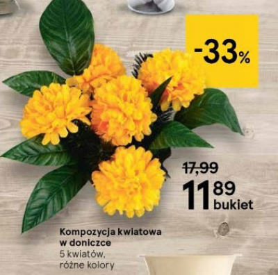 Kompozycja kwiatowa w doniczce promocja