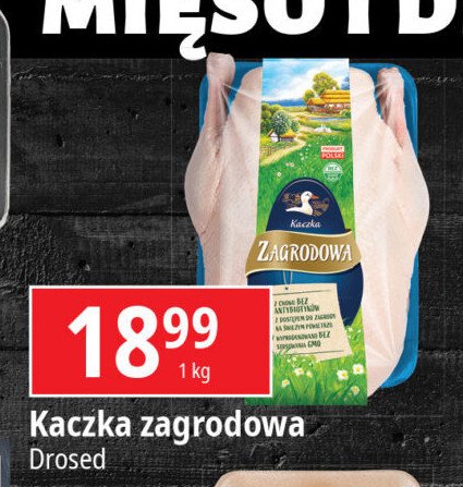 Kaczka zagrodowa Drosed promocja