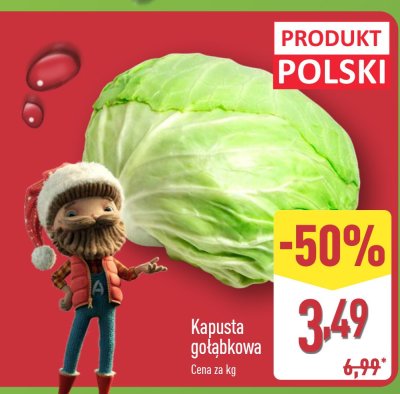 Kapusta gołąbkowa Aldi promocja w Aldi