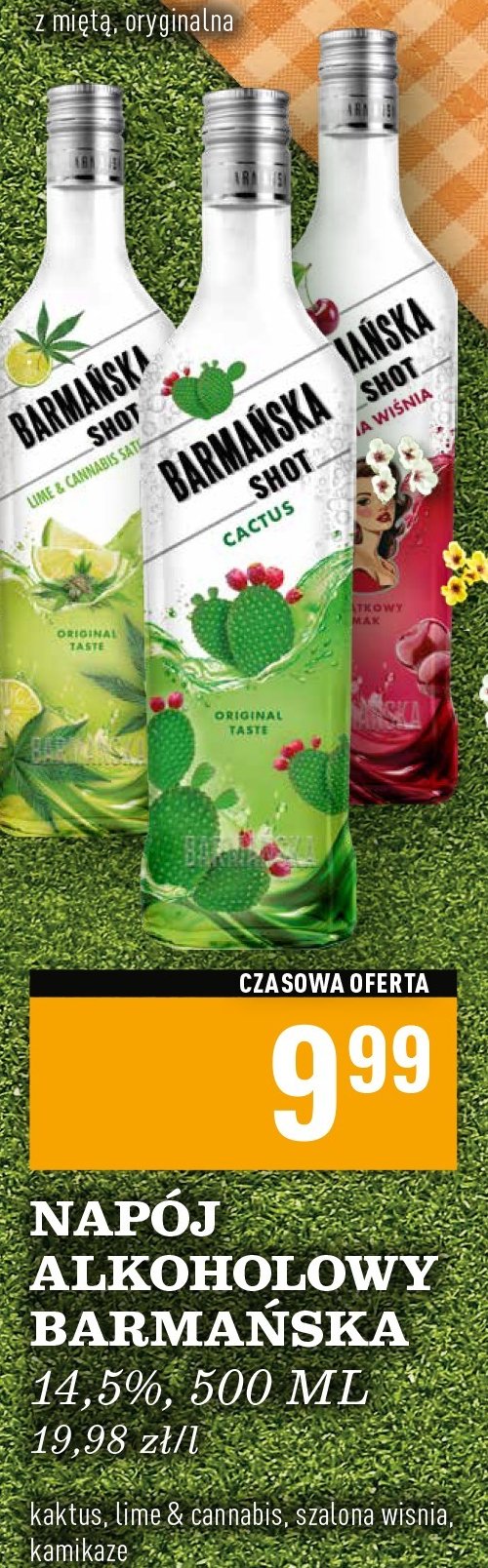 Likier 14.5% Barmańska shot cactus promocja w Biedronka