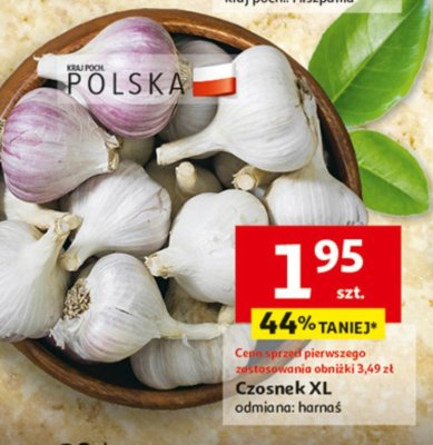 Czosnek XL promocja w Auchan
