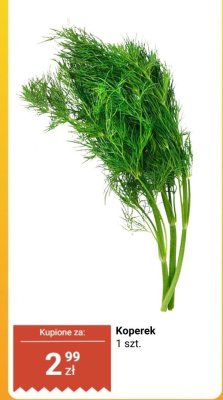 Koperek promocja w Biedronka