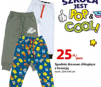 Spodnie dresowe chłopięce 104-146 promocja