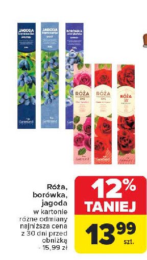 Róża w kartonie xxl promocja w Carrefour