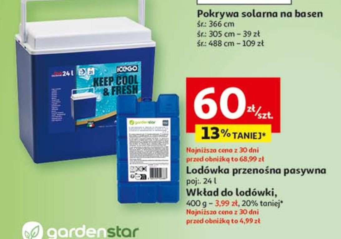 Lodówka elektryczna 24l ICEGO promocja w Auchan