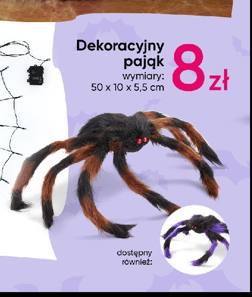 Pająk 50 x 10 x 5.5 cm promocja