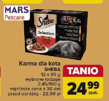 Karma dla kota Sheba selection in sauce promocja