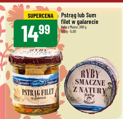 Filet z pstrąga w galarecie Mazurskie przysmaki promocja