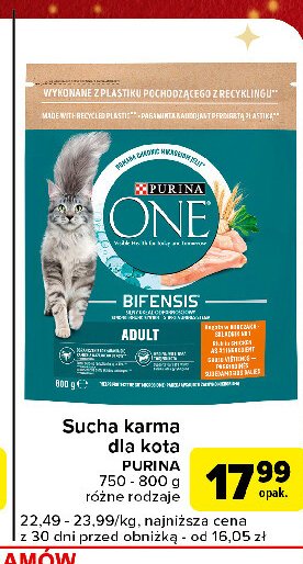 Karma dla kota adult kurczak i pełne ziarna Purina one promocja w Carrefour Express