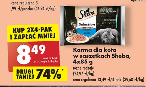 Karma dla kota rybna Sheba craft collection promocja