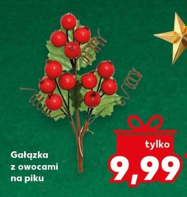 Gałązka dekoracyjna z owocami na piku promocja w Kaufland