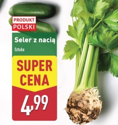 Seler z nacią promocja w Aldi