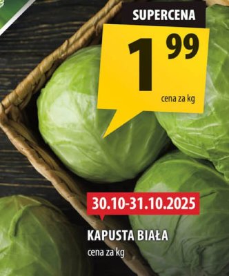 Kapusta biała Arhelan promocja w Arhelan