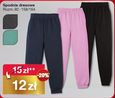 Spodnie dresowe dziecięce Rozm. 92-158/164 promocja w Woolworth