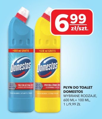 Płyn do toalet Domestos wybrane rodzaje promocja w Top Market