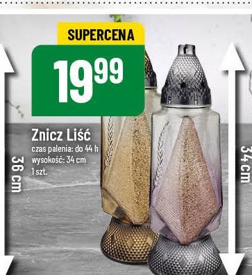 Znicz liść 220 34 cm promocja