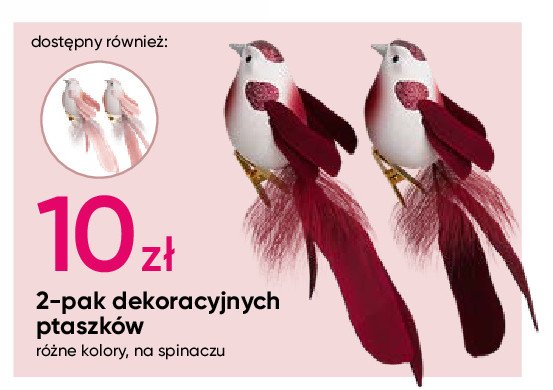 Ptaszki dekoracyjne promocja