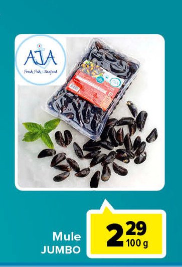 Mule jumbo Aja promocja