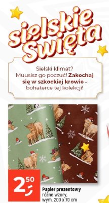 Papier prezentowy różne wzory wym. 200 x 70 cm promocja w Dealz