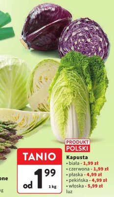 Kapusta biała luz promocja w Intermarche