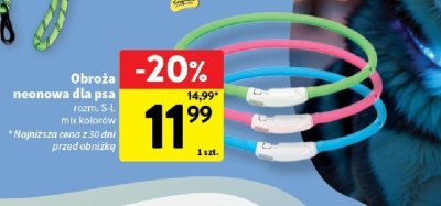 Obroża promocja w Intermarche