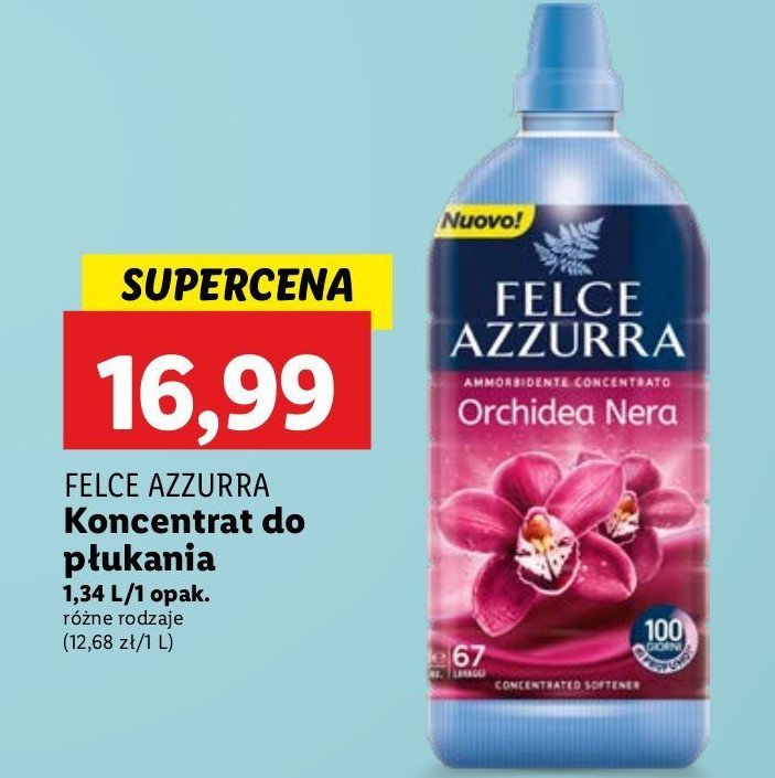 Płyn do płukania orchidea nera e seta Felce azzurra promocja