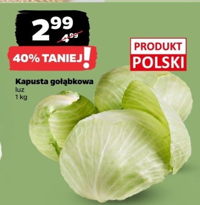 Kapusta gołąbkowa promocja w Netto