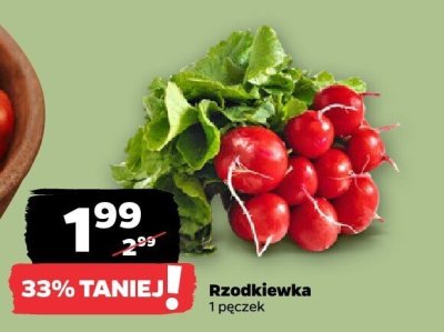 Rzodkiewka promocja w Netto