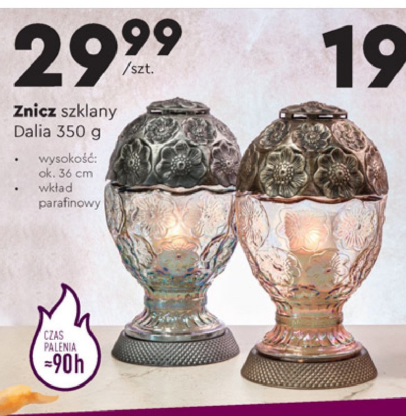 Znicz dalia promocja