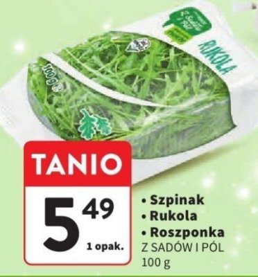 Rukola Z SADÓW I PÓL promocja w Intermarche