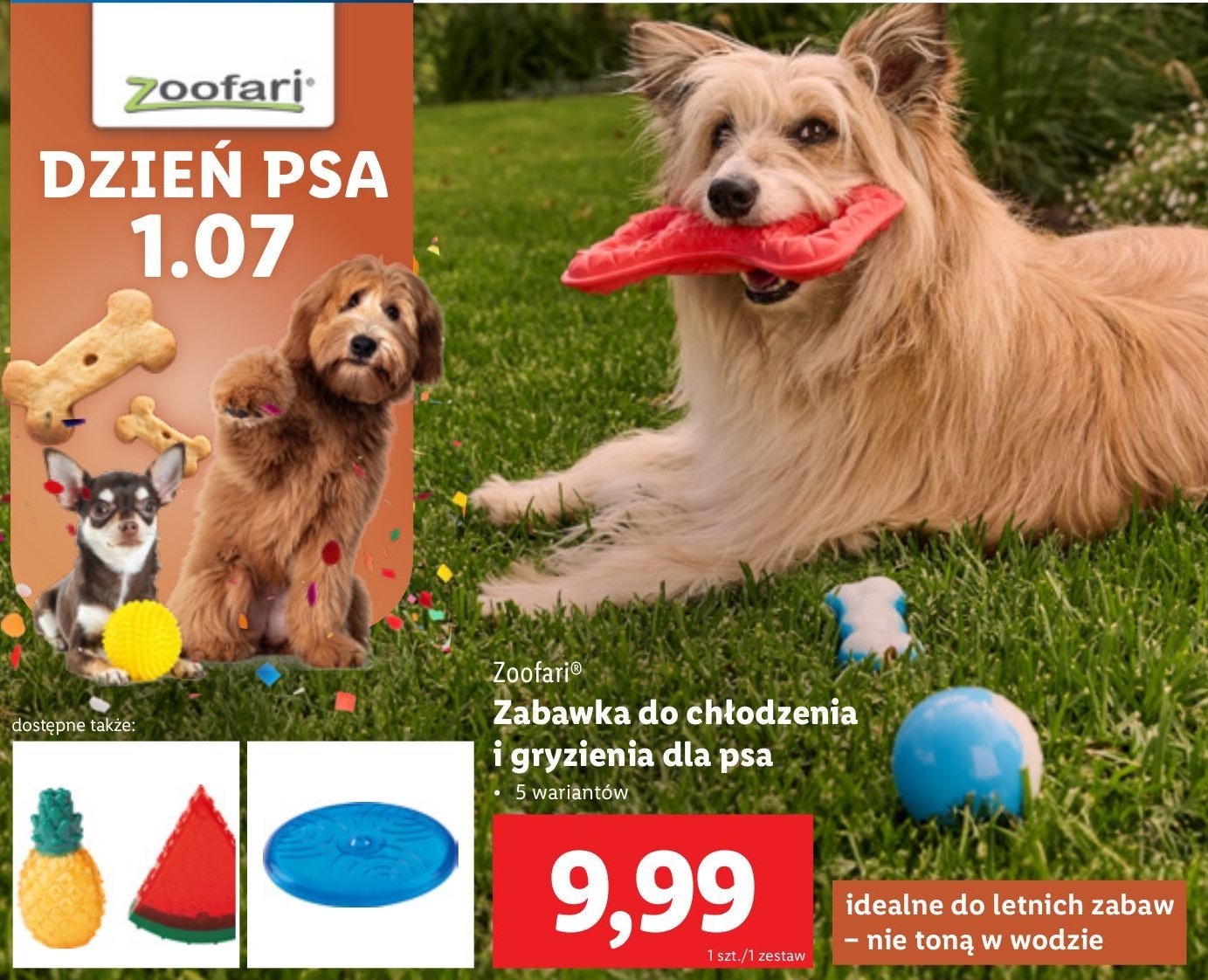 Zabawka do chłodzenia i gryzienia dla psa promocja w Lidl