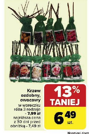 Krzew owocowy promocja w Carrefour Market