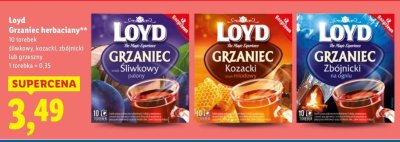 Herbata Loyd Grzaniec zbóżnicki na ogniku promocja w Lidl