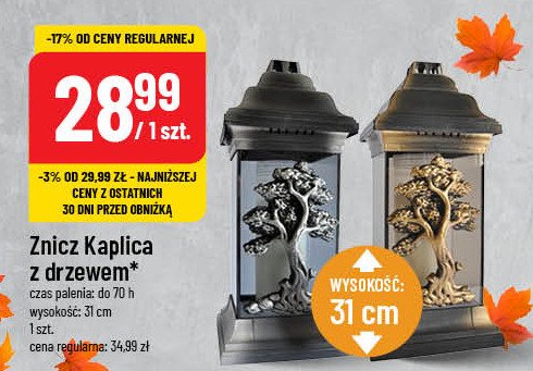 Znicz kaplica z drzewem promocja