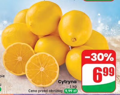 Cytryna promocja w Dino