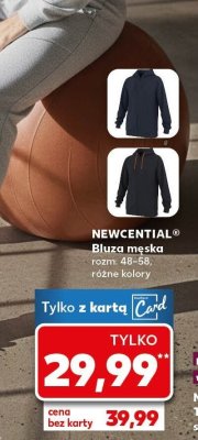 Bluza męska różne kolory promocja w Kaufland