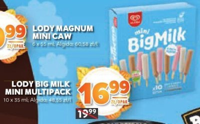 Lody promocja w Stokrotka