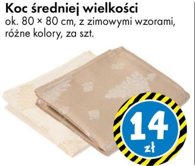 Koc średniej wielkości ok. 80 x 80 cm, z zimowymi wzorami, różne kolory promocja w Tedi